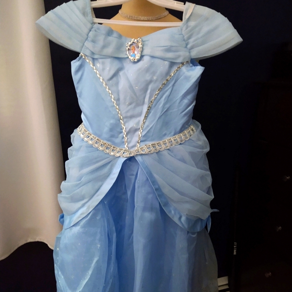 Cinderella costume